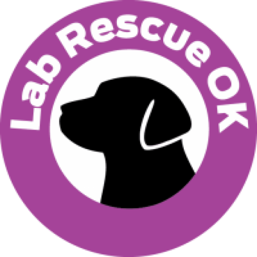 Adoption Process Lab Rescue Inc. Oklahoma
