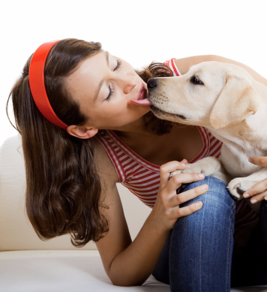 shutterstock_41845186 shutterstock_41845186