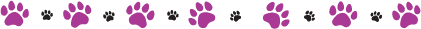 image (5)