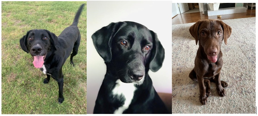 gallery-image gallery-image